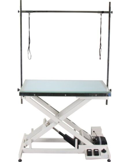 AEOLUS GROOMING ELECTRIC LIFT TABLE WITH LED LIGHTS