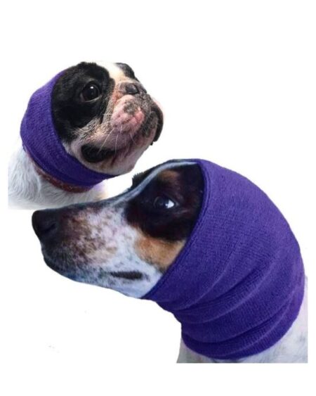 HAPPY HOODIES PURPLE 2 PACK LARGE AND SMALL