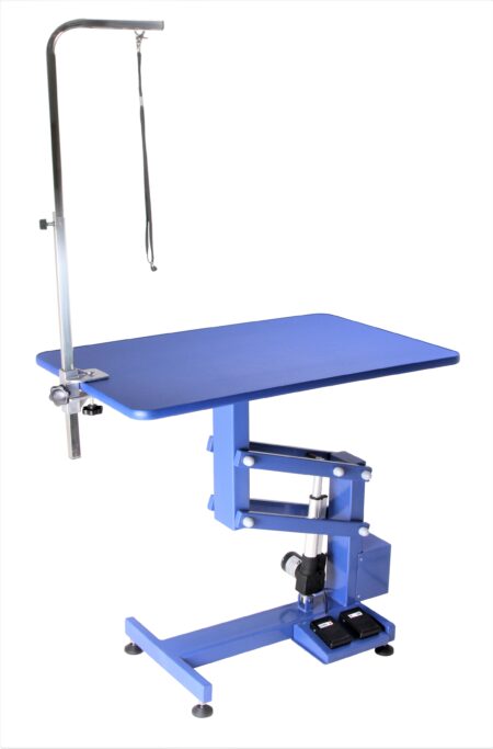 AEOLUS  BLUE ELECTRIC LIFTING TABLE(50% OFF FREIGHT T.B.A) & FREEBIES