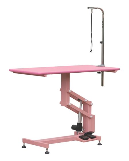 AEOLUS PINK ELECTRIC LIFT TABLE