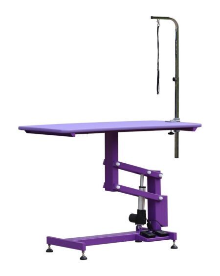 AEOLUS PURPLE ELECTRIC LIFT TABLE(50% OFF FREIGHT)