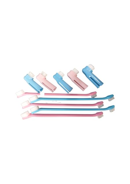 SMART COAT 5/5 FINGER AND LONG TOOTHBRUSHES ASSORTED COLOUR