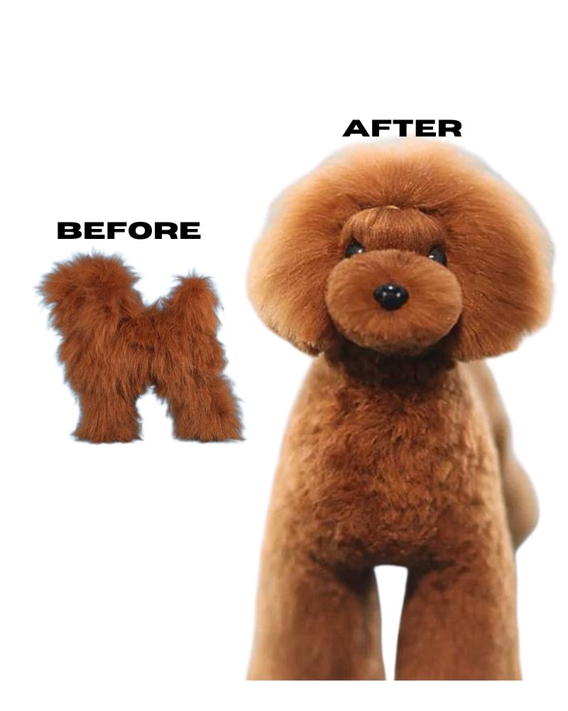 brown model dog w coat