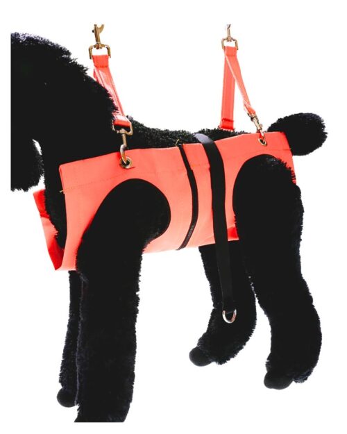 31450 orange hammock