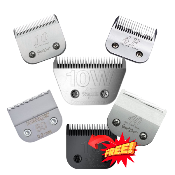 6x blades one free 600 x 600