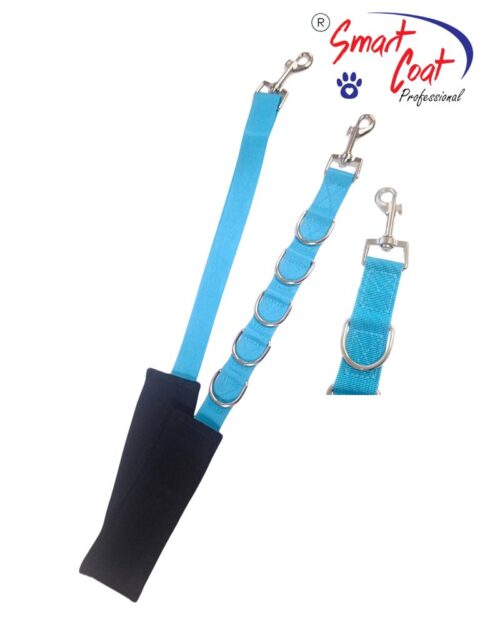 aqua belly band with 6d ring loop