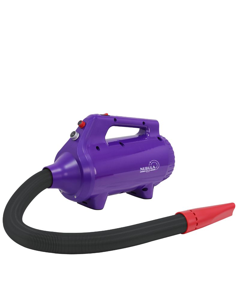 purple 1800 watt dryer web