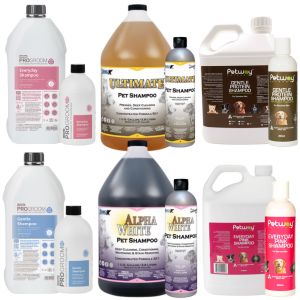 Shampoo