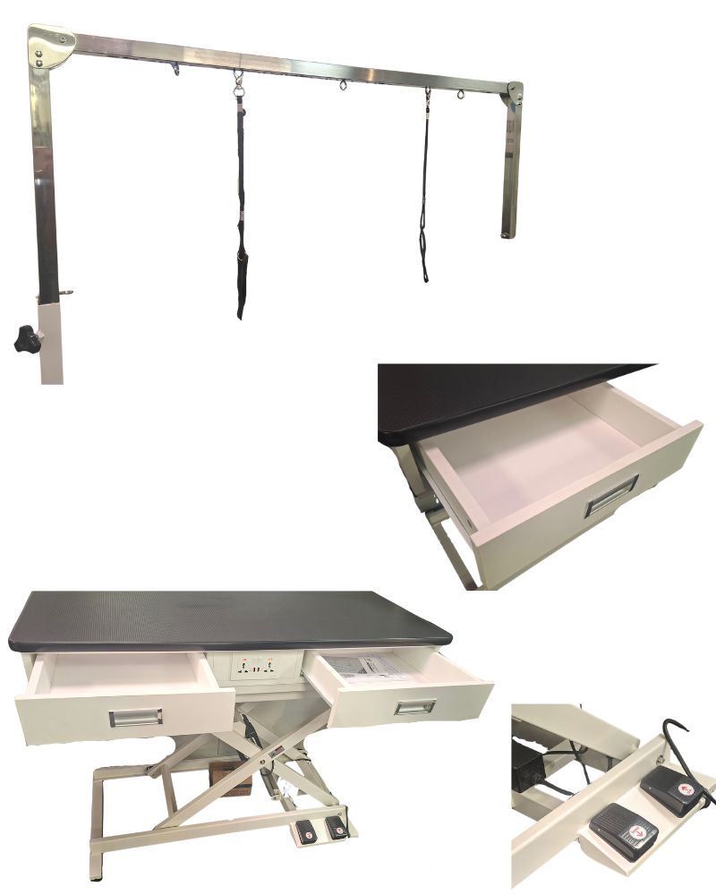 elite pro accordion3