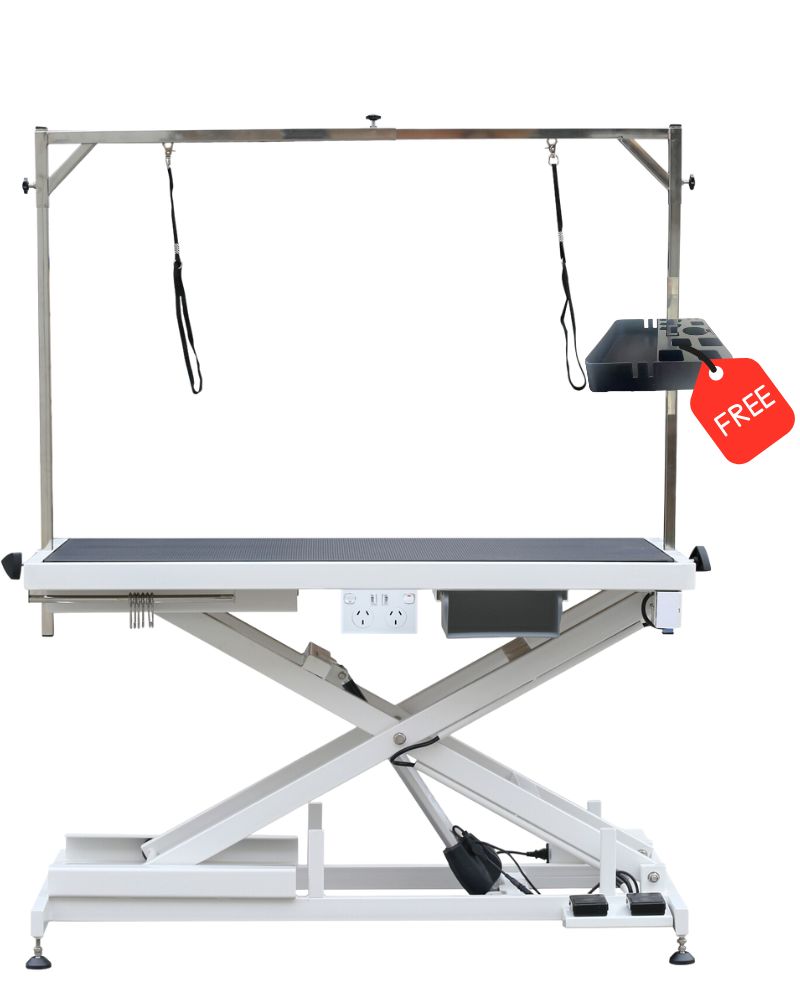 pro accordion with square caddy free